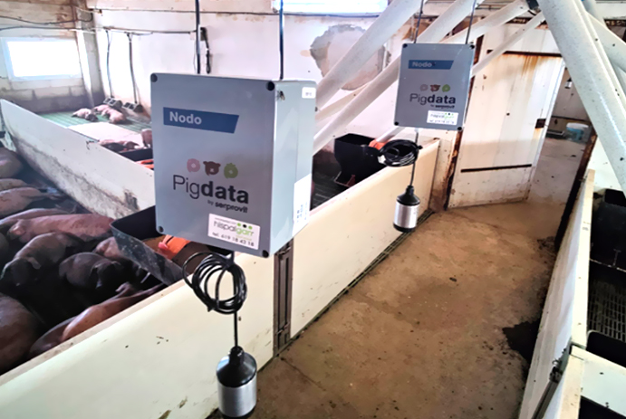 sensorica_granjas_pigdata