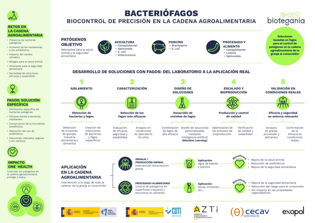 Bacteriofagos_INFOGRAFIA